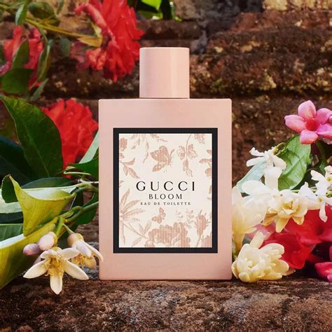 fragrantica Gucci bloom